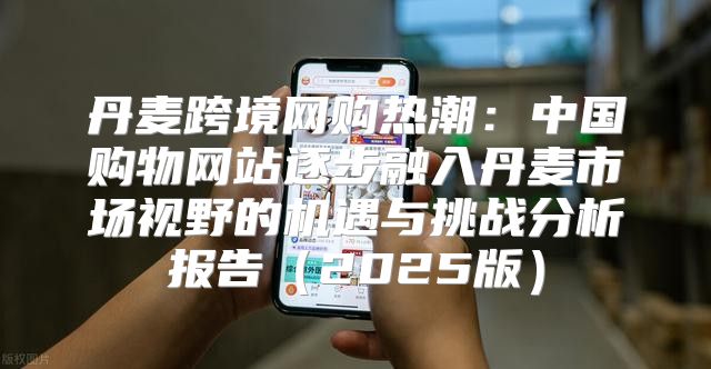 丹麦跨境网购热潮：中国购物网站逐步融入丹麦市场视野的机遇与挑战分析报告2025版