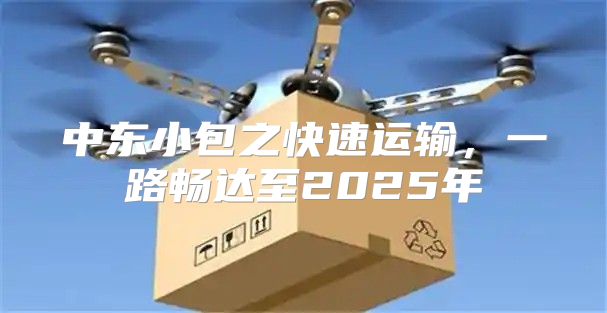 中东小包之快速运输，一路畅达至2025年