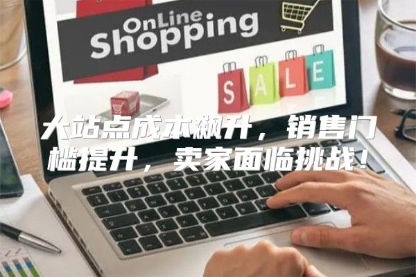 大站点成本飙升，销售门槛提升，卖家面临挑战！