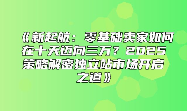 新起航：零基础卖家如何在十天迈向三万？2025策略解密独立站市场开启之道