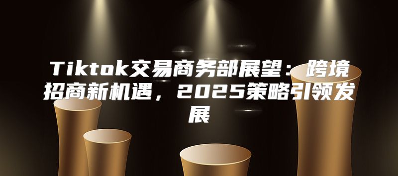Tiktok交易商务部展望：跨境招商新机遇，2025策略引领发展