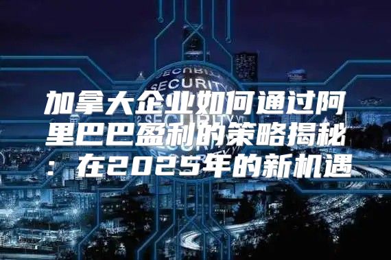 加拿大企业如何通过阿里巴巴盈利的策略揭秘：在2025年的新机遇