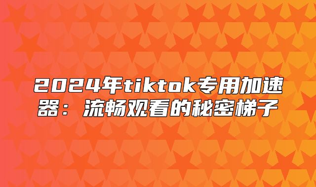 2025年tiktok专用加速器：流畅观看的秘密梯子