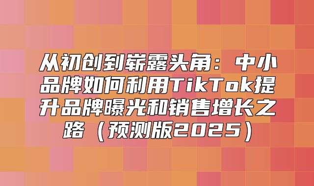 从初创到崭露头角：中小品牌如何利用TikTok提升品牌曝光和销售增长之路预测版2025
