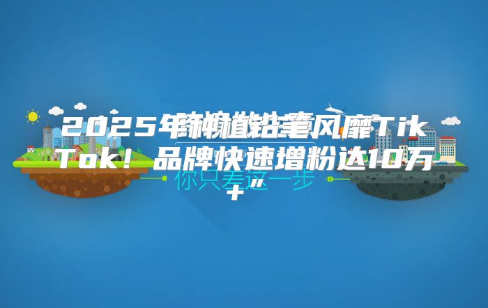 2025年种植铅笔风靡TikTok！品牌快速增粉达10万+”