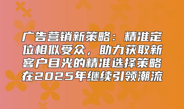 广告营销新策略：精准定位相似受众，助力获取新客户目光的精准选择策略在2025年继续引领潮流