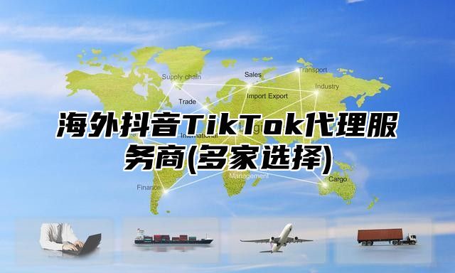 海外抖音TikTok代理服务商(多家选择)