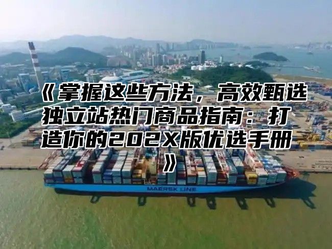 掌握这些方法，高效甄选独立站热门商品指南：打造你的202X版优选手册