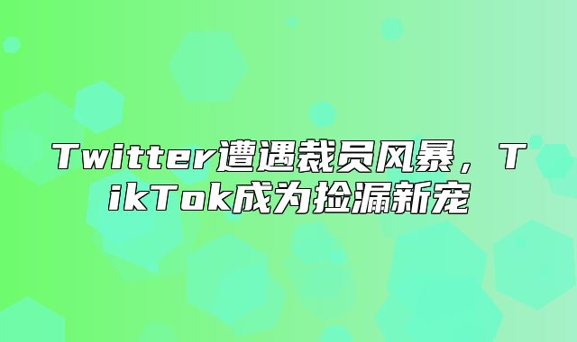 Twitter遭遇裁员风暴，TikTok成为捡漏新宠