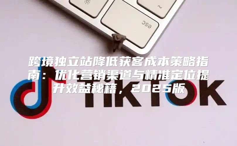 跨境独立站降低获客成本策略指南：优化营销渠道与精准定位提升效益秘籍，2025版