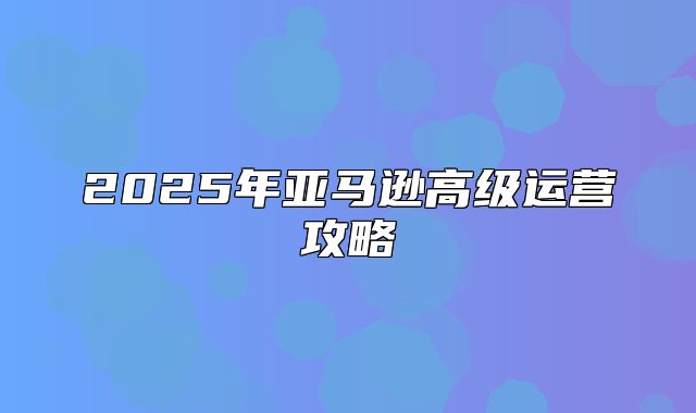 2025年亚马逊高级运营攻略
