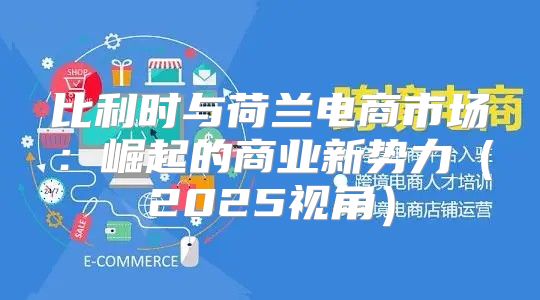 比利时与荷兰电商市场：崛起的商业新势力2025视角