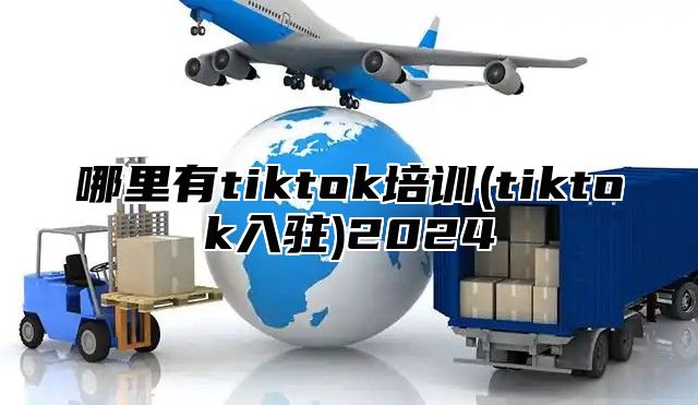 哪里有tiktok培训(tiktok入驻)2025