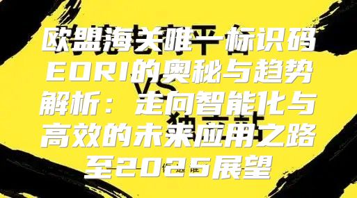 欧盟海关唯一标识码EORI的奥秘与趋势解析：走向智能化与高效的未来应用之路至2025展望