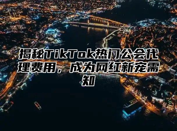 揭秘TikTok热门公会代理费用，成为网红新宠需知