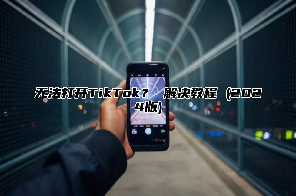 无法打开TikTok？ 解决教程 (2025版)