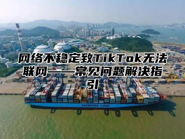 网络不稳定致TikTok无法联网——常见问题解决指引