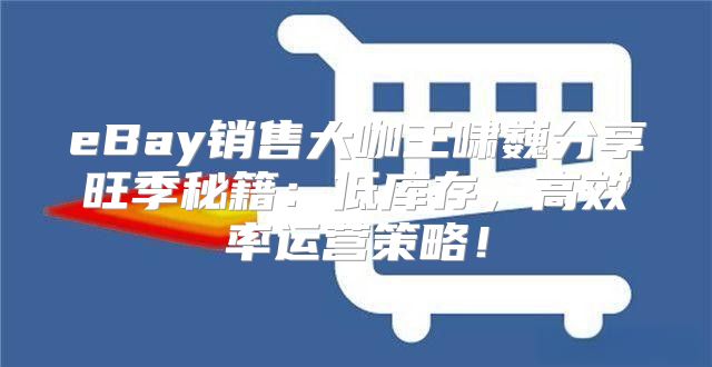 eBay销售大咖王啸巍分享旺季秘籍：低库存，高效率运营策略！