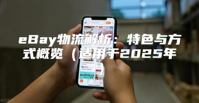 eBay物流解析：特色与方式概览适用于2025年