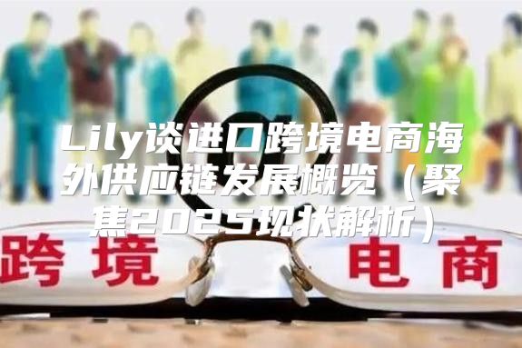 Lily谈进口跨境电商海外供应链发展概览聚焦2025现状解析