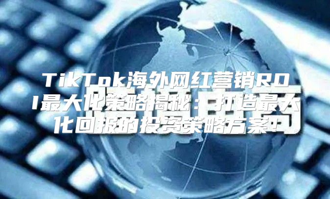 TikTok海外网红营销ROI最大化策略揭秘：打造最大化回报的投资策略方案！
