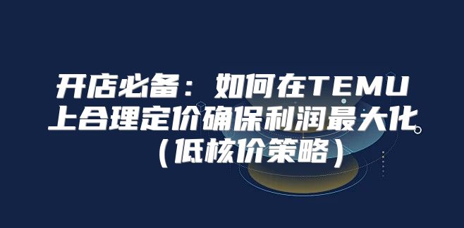开店必备：如何在TEMU上合理定价确保利润最大化低核价策略