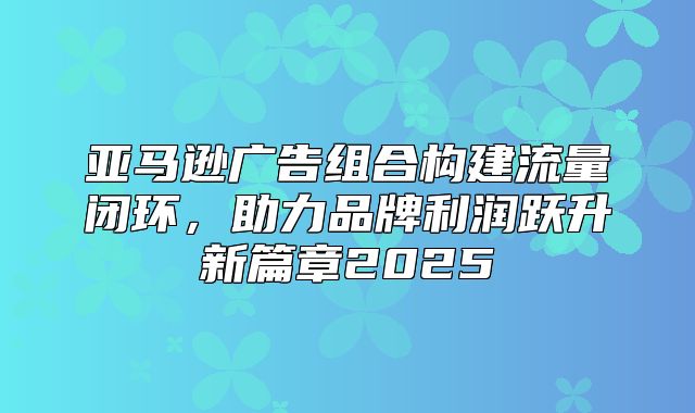 亚马逊广告组合构建流量闭环，助力品牌利润跃升新篇章2025
