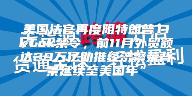 美国法官再度阻特朗普TikTok禁令，前11月外贸额达29万亿助推经济繁荣背景延续至美国年”