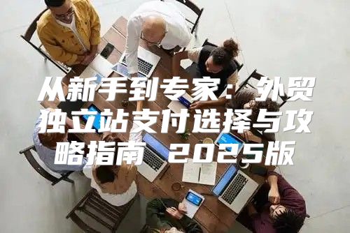 从新手到专家：外贸独立站支付选择与攻略指南 2025版