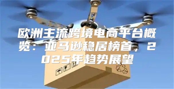 欧洲主流跨境电商平台概览：亚马逊稳居榜首，2025年趋势展望