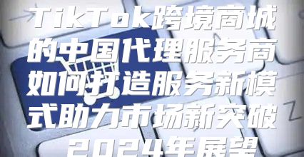 TikTok跨境商城的中国代理服务商如何打造服务新模式助力市场新突破 2025年展望