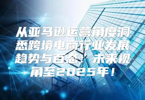 从亚马逊运营角度洞悉跨境电商行业发展趋势与百态：未来视角至2025年！