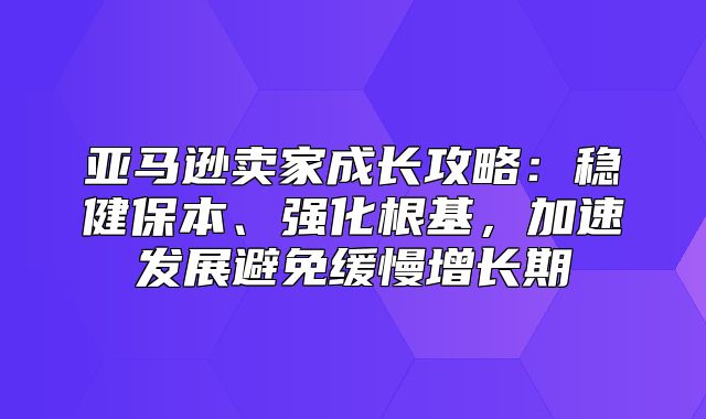 亚马逊卖家成长攻略：稳健保本、强化根基，加速发展避免缓慢增长期