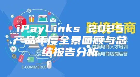 iPayLinks 2025产品年度全景回顾与总结报告分析