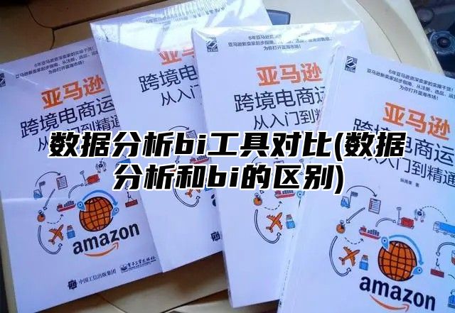 数据分析bi工具对比(数据分析和bi的区别)