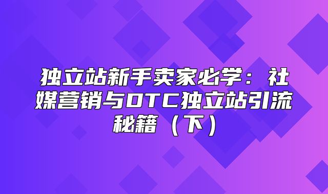 独立站新手卖家必学：社媒营销与DTC独立站引流秘籍下