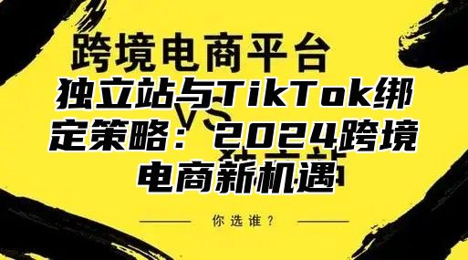 独立站与TikTok绑定策略：2025跨境电商新机遇