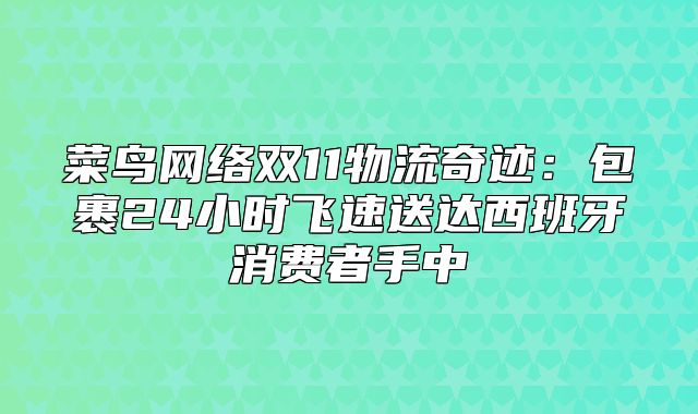 菜鸟网络双11物流奇迹：包裹24小时飞速送达西班牙消费者手中