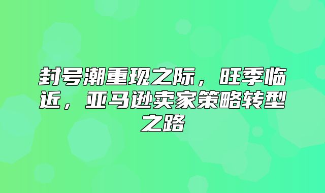 封号潮重现之际，旺季临近，亚马逊卖家策略转型之路