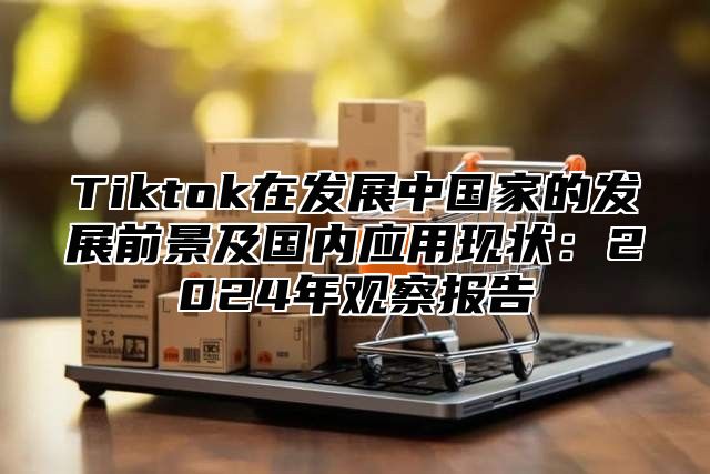 Tiktok在发展中国家的发展前景及国内应用现状：2025年观察报告