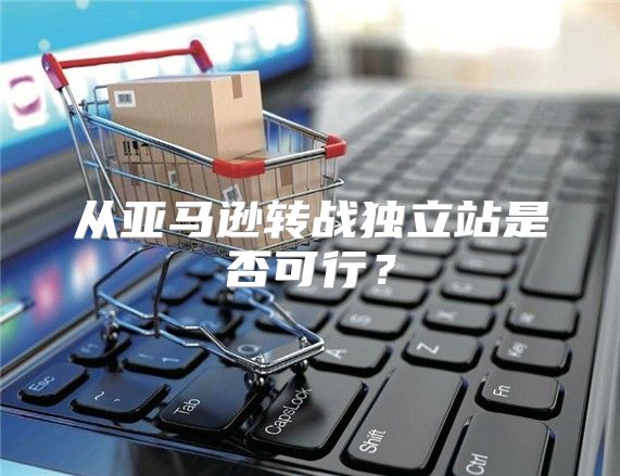 从亚马逊转战独立站是否可行？
