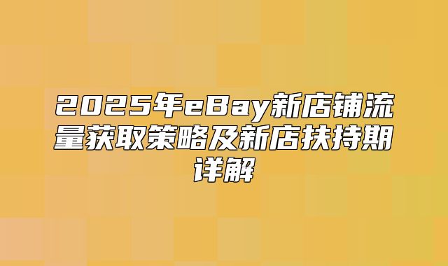 2025年eBay新店铺流量获取策略及新店扶持期详解