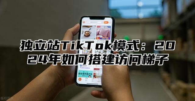 独立站TikTok模式：2025年如何搭建访问梯子