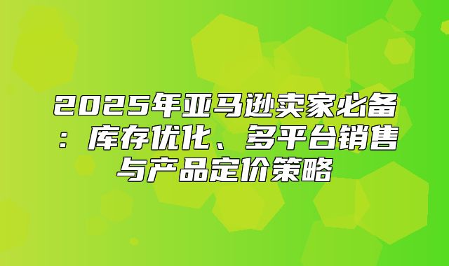 2025年亚马逊卖家必备：库存优化、多平台销售与产品定价策略