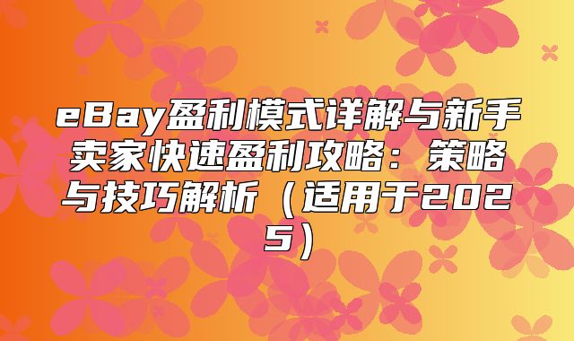 eBay盈利模式详解与新手卖家快速盈利攻略：策略与技巧解析适用于2025