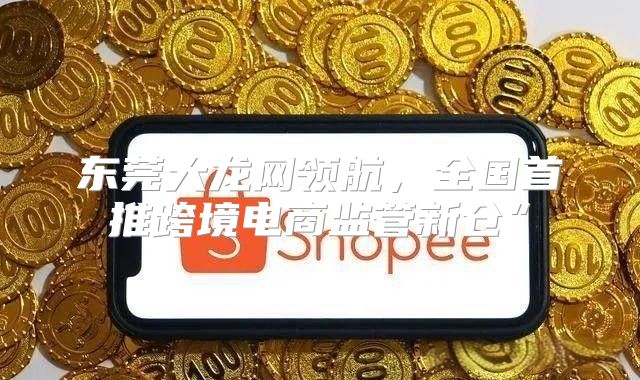 东莞大龙网领航，全国首推跨境电商监管新仓”