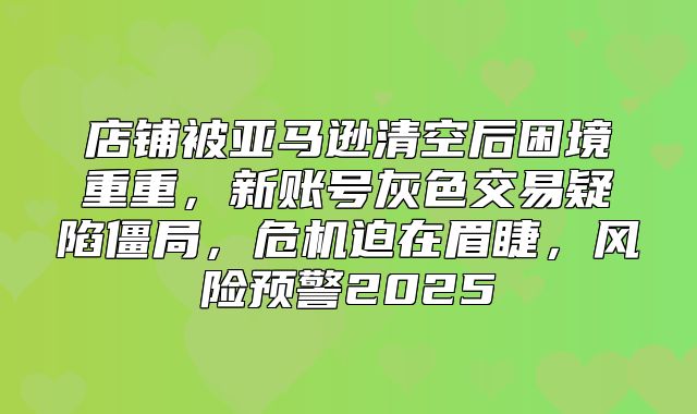 店铺被亚马逊清空后困境重重，新账号灰色交易疑陷僵局，危机迫在眉睫，风险预警2025