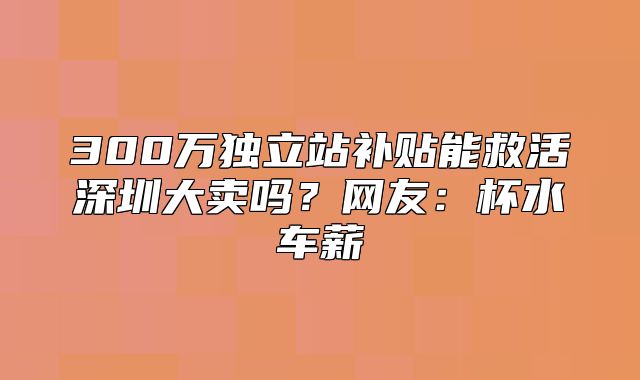 300万独立站补贴能救活深圳大卖吗？网友：杯水车薪