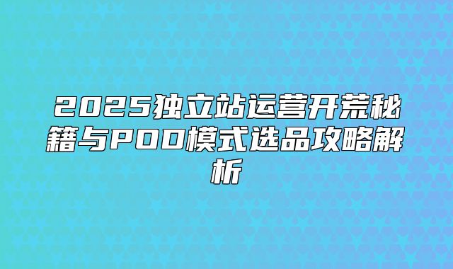 2025独立站运营开荒秘籍与POD模式选品攻略解析