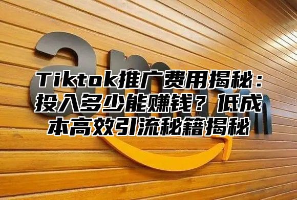 Tiktok推广费用揭秘：投入多少能赚钱？低成本高效引流秘籍揭秘